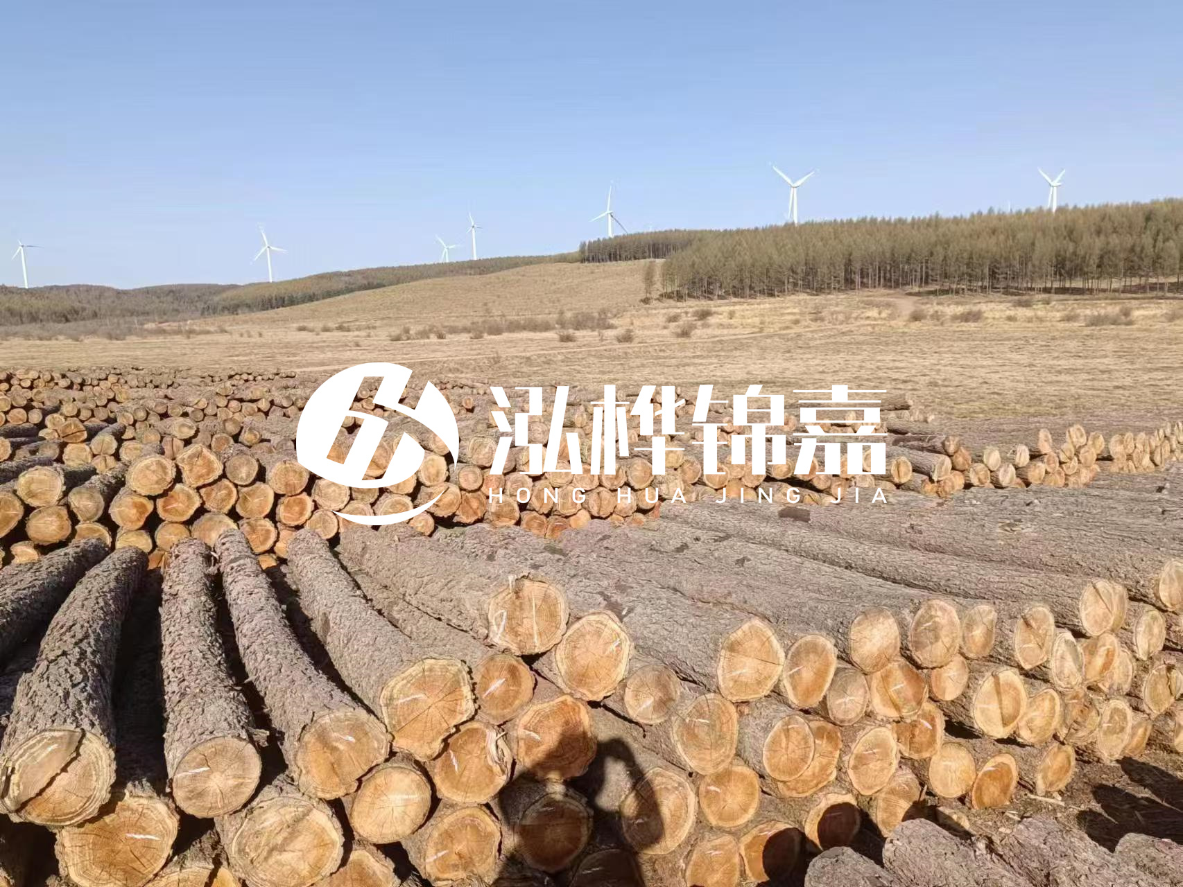 咸寧松木樁源頭廠家-哪里能買到質(zhì)量好的松木樁打樁木？