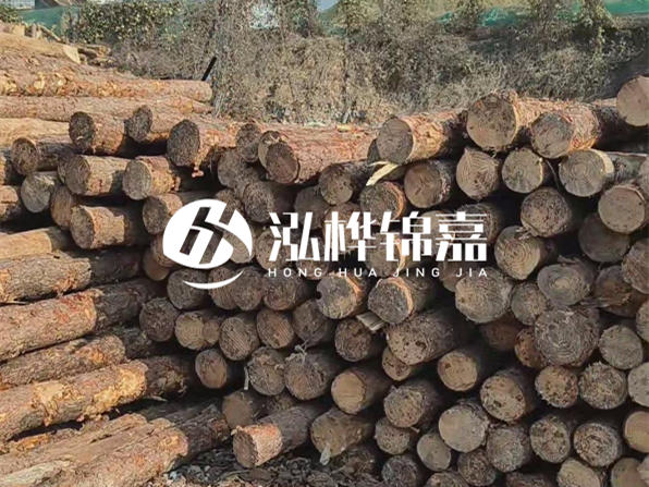 落葉松木材的主要產(chǎn)地在哪里？為什么比其他松木更耐腐蝕？